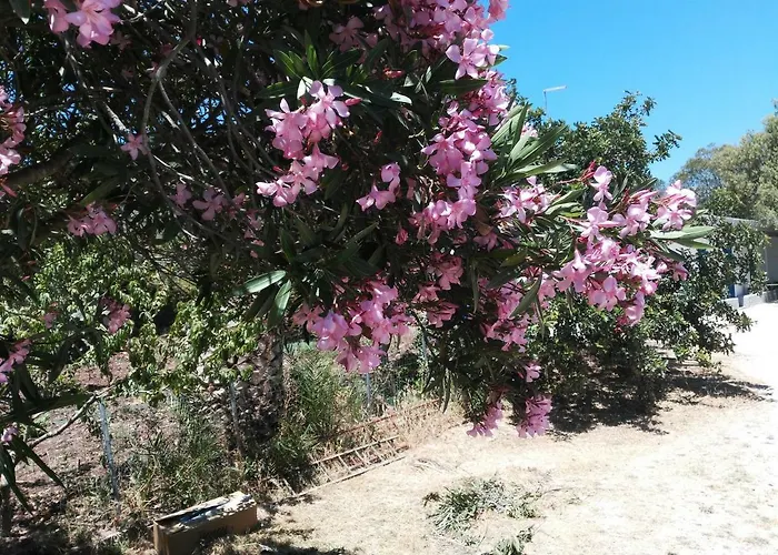 Σπίτι διακοπών Casa Indipendente Immersa Nel Con Vista Mare Dorgali